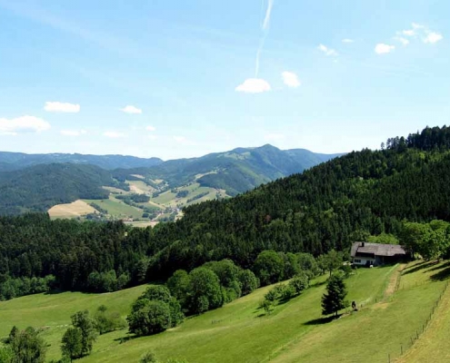 Erleben Sie wunderschöne Wanderwege mit tollem Ausblick im Schwarzwald